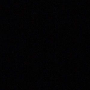 Meet your Posher, Lynn